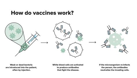 wish club 888|Vaccination works. It reduces .